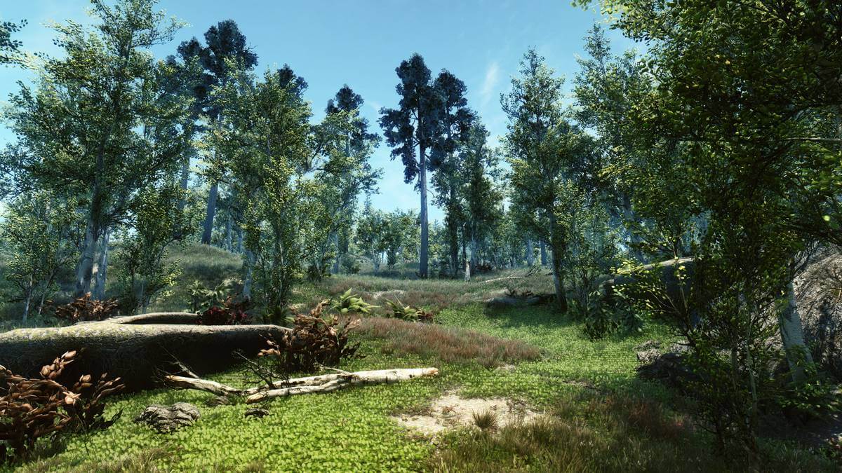Skyrim ENB